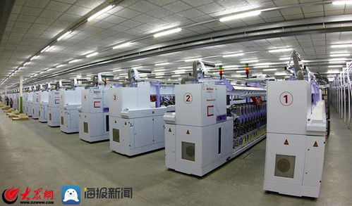 泰山區上高街道 項目建設點燃新舊動能轉換助推器，技術開發引領高質量發展